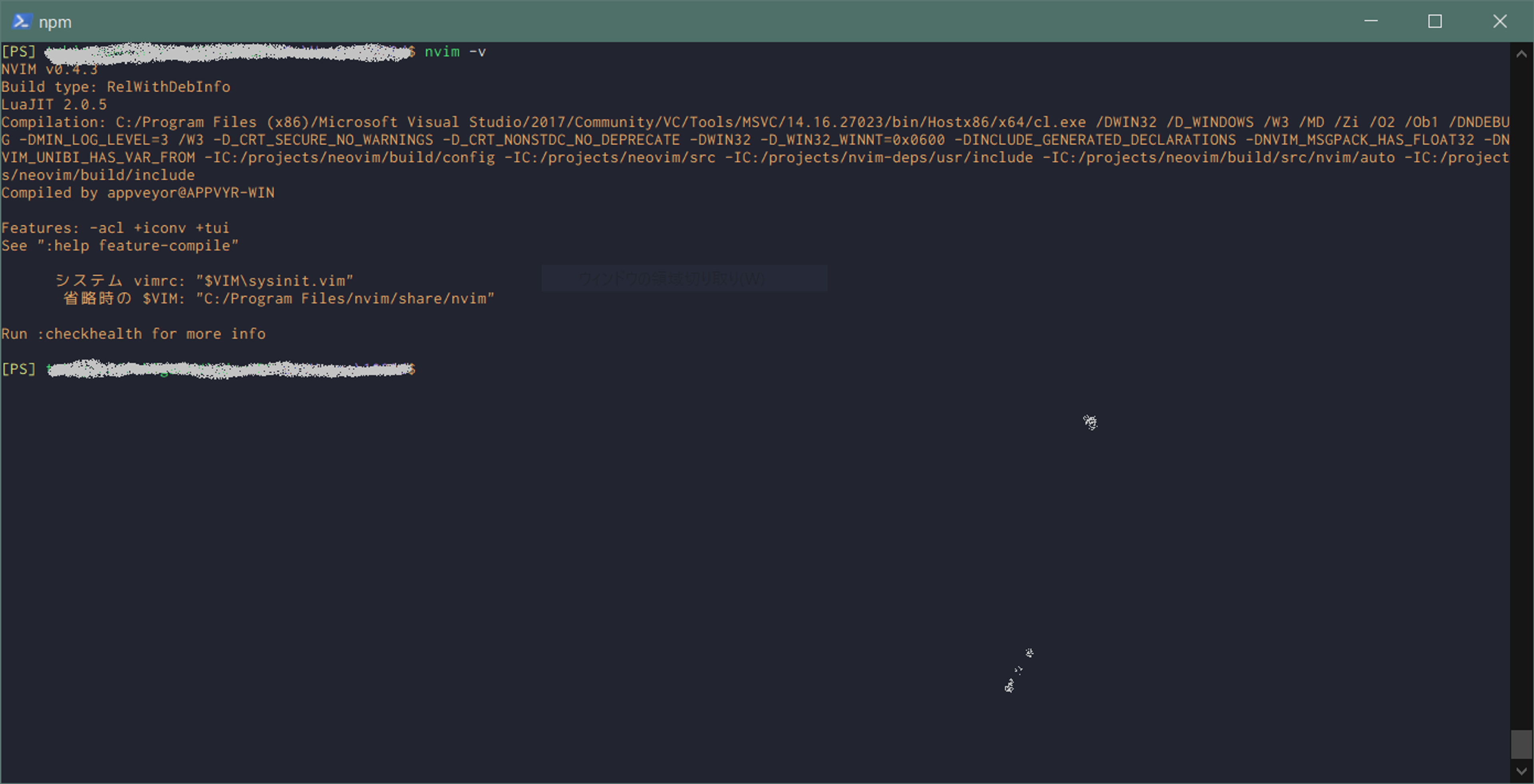 neovim-v-screenshot